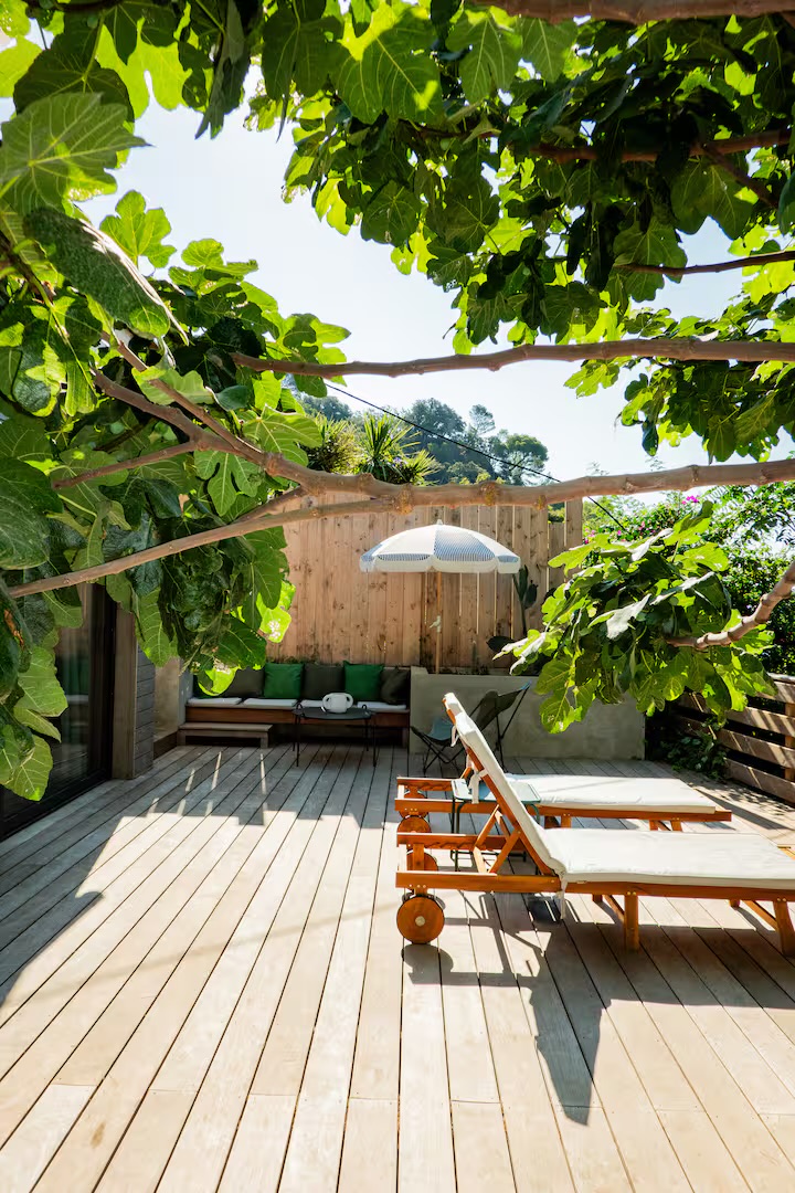 Terrasse sous le figuier
